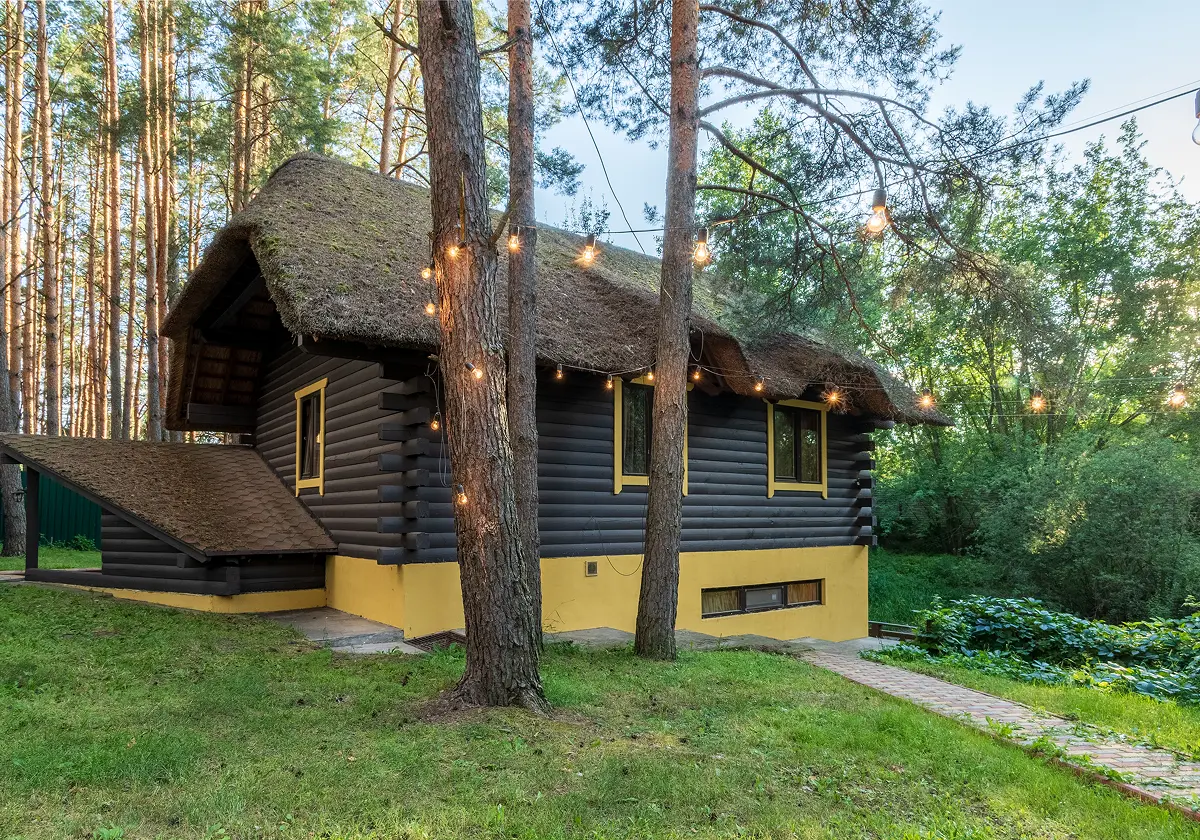 Електромобіль Максус